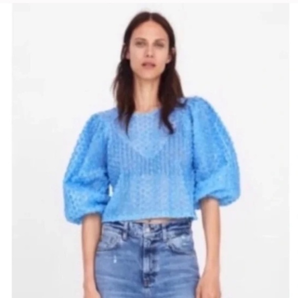 ZARA Blue Floral Rosette Puff Sleeve Cropped Sheer Blouse